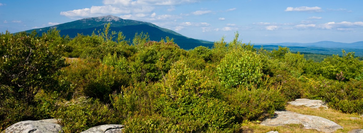 Jerry and Marcy Monkman, Ecophotography