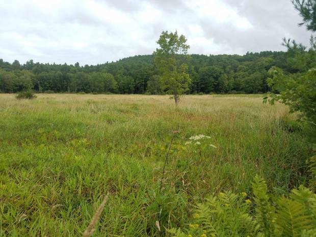 Lands 2017 Templeton Fernald