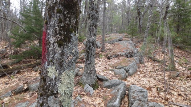 2017 Land UVLT Stonehouse