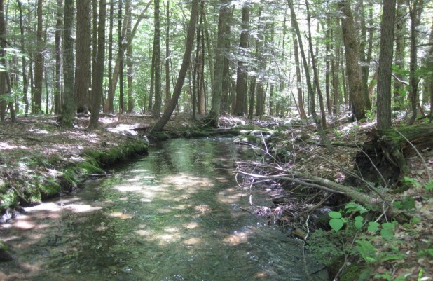 Tunis_Photo_TunisBrook